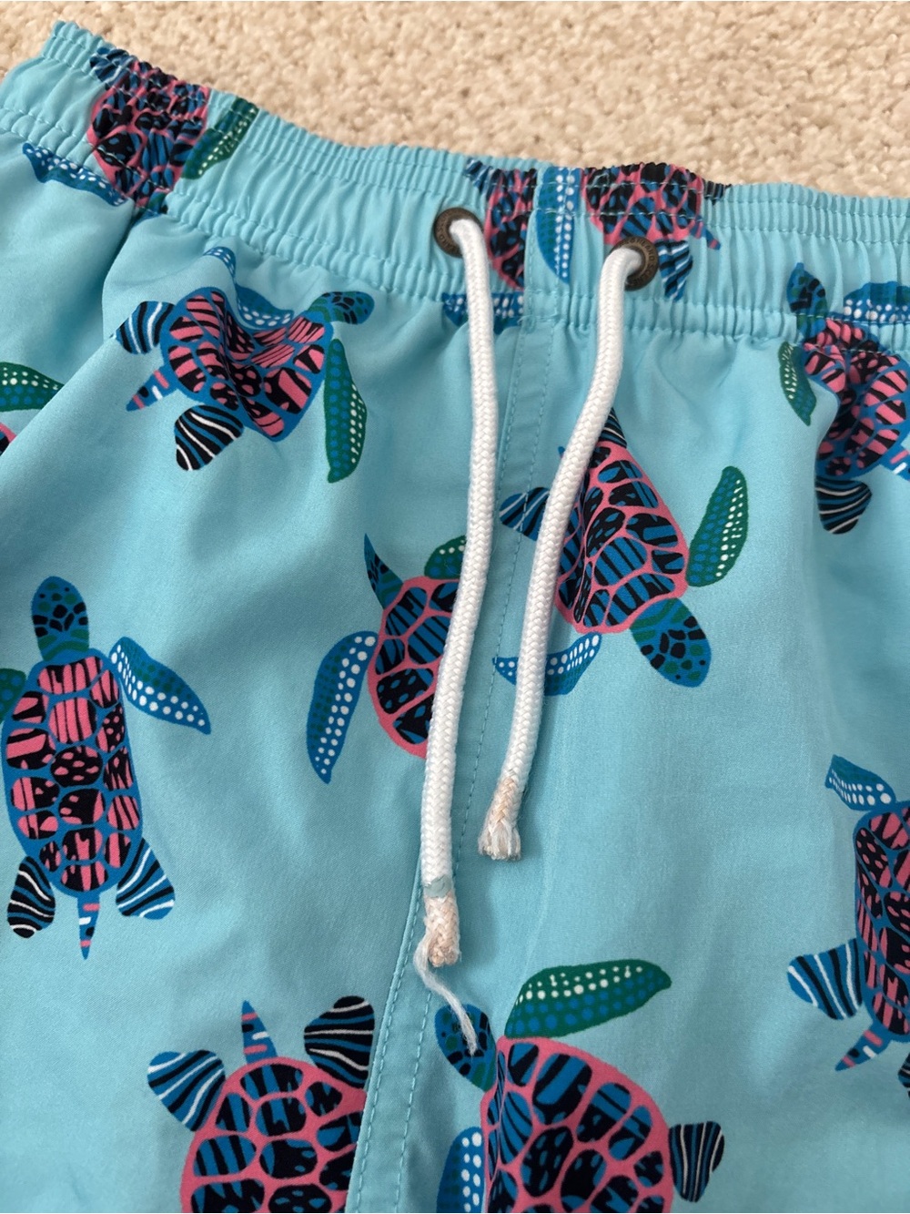 Nordstrom Boys Light Blue Sea Turtle Swim Trunks - Picture 2 of 5